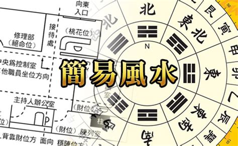 金錢草風水|MASTERSO.COM 蘇民峰命理風水網站